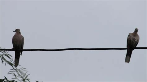 veodersti.rgarabwor.edu.pl. 