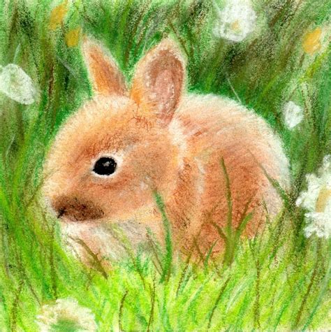 🔥 Baby Bunnie Leaked [HD] 147 Videos