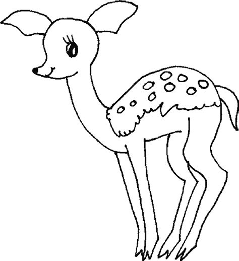 Baby Deer Coloring Page Coloring Home