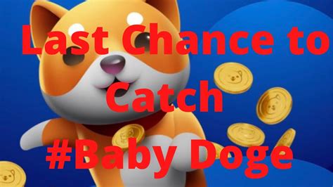 Baby Dogecoin Price Inr