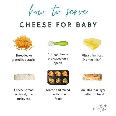 Baby Led Weaning Cheese: How to Introduce Your Baby to Cheese