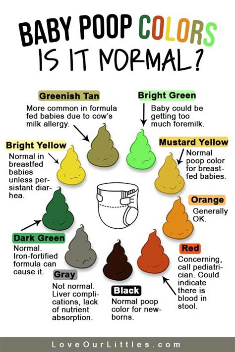 Baby Poop Color Chart - a Stool Type Guide by Similac®