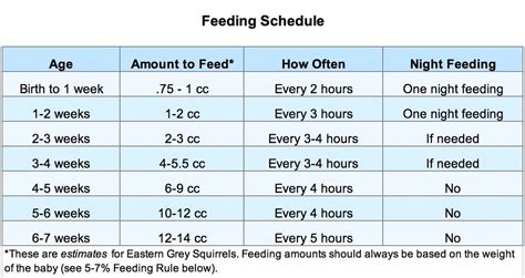 Baby squirrel age feeding chart.  Use Table 2 below to figure out how ofte...
