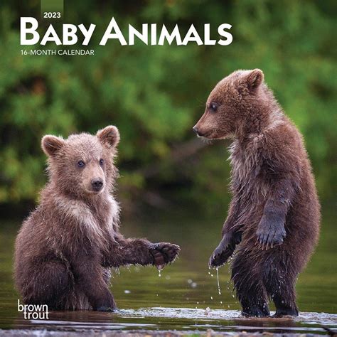 Full Download Baby Animals 2020 Mini Wall Calendar By Inc Browntrout Publishers