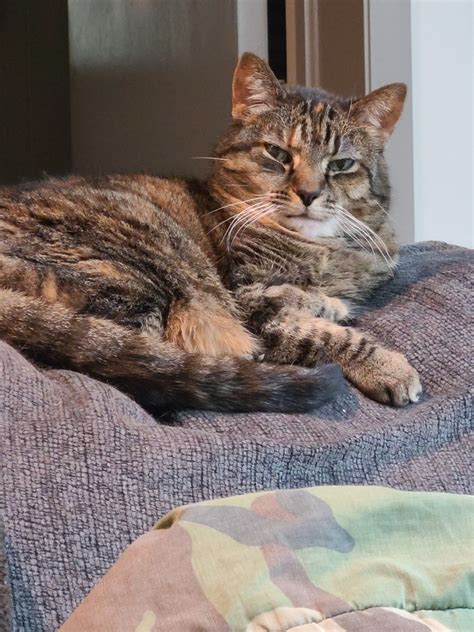 Babycheeto  Onlyfans Leak [HD] 💦 94 Photos