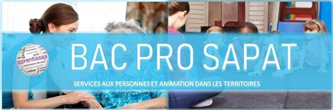 Bac pro services aux personnes et animation dans les territoires