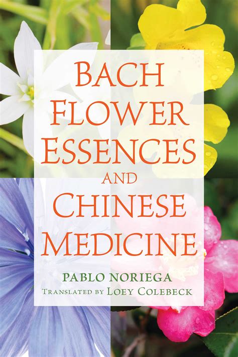 Read Online Bach Flower Essences And Chinese Medicine By Pablo Noriega