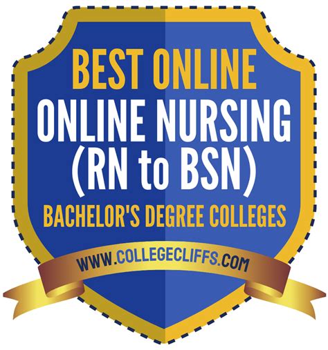 Our online nursing degree programs help you elevate 