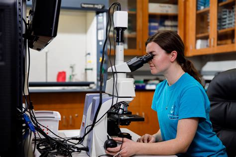 See a list of colleges with Health Science here to evaluate admissions data, tuition, rankings and more. Education. Colleges. ... Online Bachelor's Programs; Online Master's Programs;. 