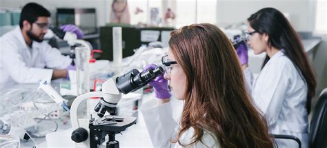 Jul 26, 2023 · Biology majors can pursue careers in fields as diverse as healthcare and manufacturing. Here, review some of the nation's best bachelor's in biology programs. We've ranked the top online bachelor's in biology programs. Compare schools by cost and convenience. Earn your degree online. . 