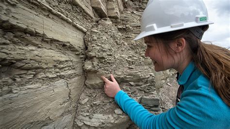 BSc Geology or Bachelor of Science in Geology is a 3-year long undergraduate level bachelor's degree course focused on earth science. The course involves ...