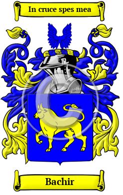 Bachir Name Meaning, Family History, Family Crest & Coats of Arms