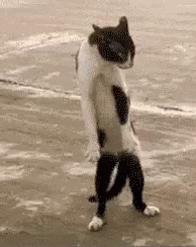 Back Out GIFs Tenor