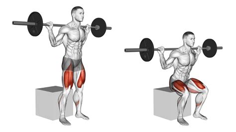 Back Squats vs Box Squats