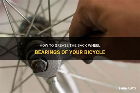 Back Wheel Bearing Whisperer: Expert Tips for a Smoother Ride