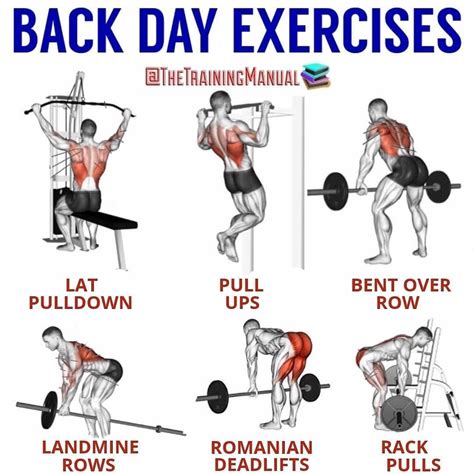 Back day workout. Things To Know About Back day workout. 