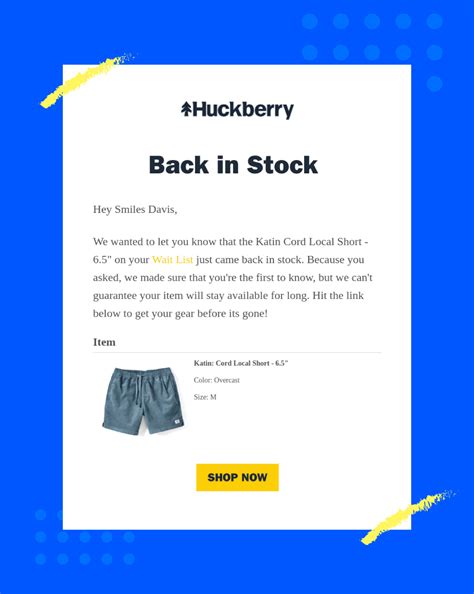 Back in Stock Email Examples & Templates MailCharts