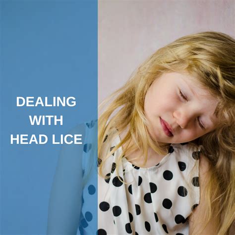 Back to school – and dealing with head lice