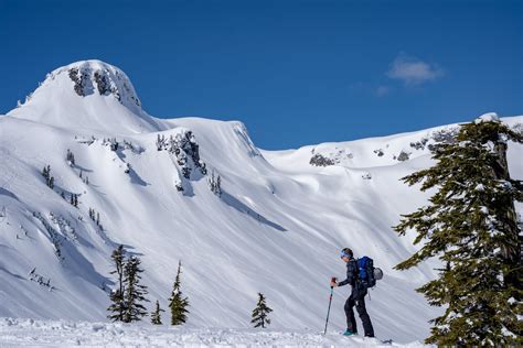 Backcountry skiing snoqualmie pass falcon guides backcountry skiing. - Owls of the world a photographic guide by heimo mikkola.