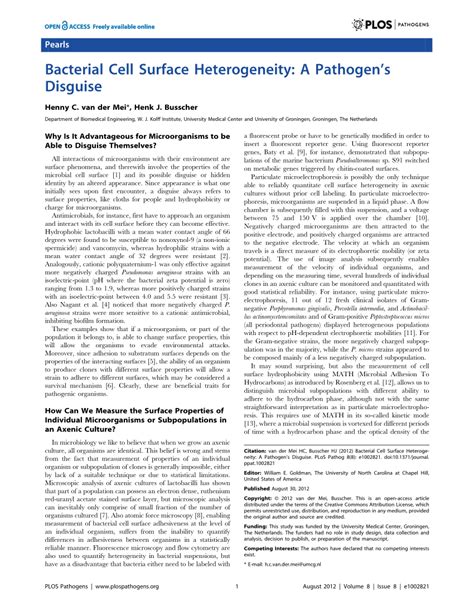 Bacterial Cell Surface Heterogeneity: A Pathogen