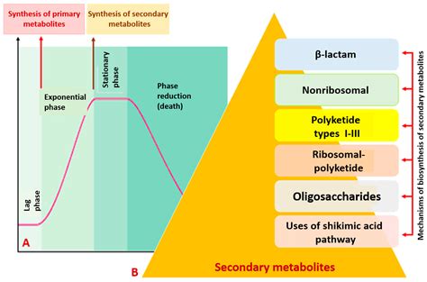 Bacterial Secondary Metabolite Biosynthetic Potential in …