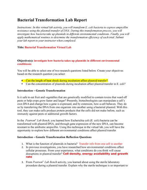 Bacterial Transformation Lab Report - Studocu