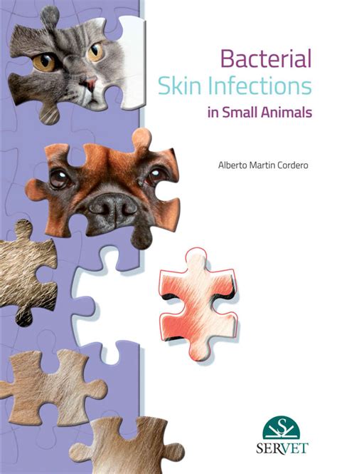 Bacterial skin infections in small animals. - Staatliche aktivität, wirtschaftliche entwicklung und preisniveau.