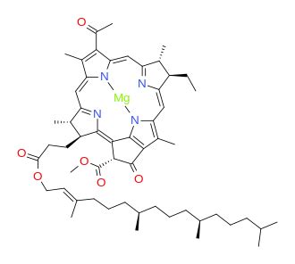 Bacteriochlorophyll - Wikipedia