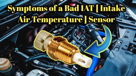 Bad Intake Air Temperature Sensor Symptoms What You Need to Know Air