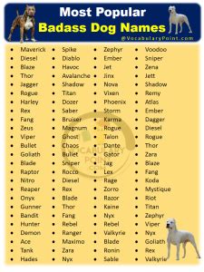 Badass dog names for boxers. .  <a href=https://k-word.ru/9xpis/glendale-funeral-home-wo...