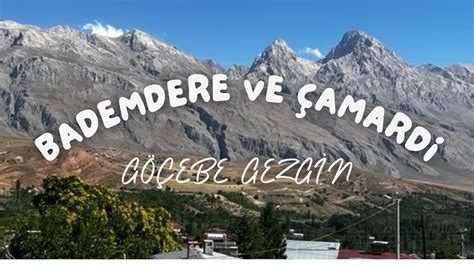 Bademdere Halı ve Koltuk Yıkama