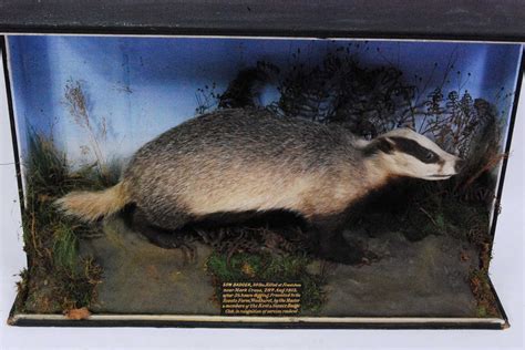 Badger auction. Things To Know About Badger auction. 