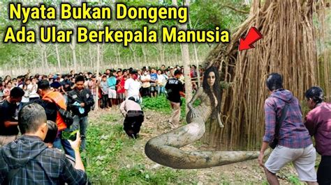 Bagaikan ular berkepala manusia togel. Https www togeli com 2017.