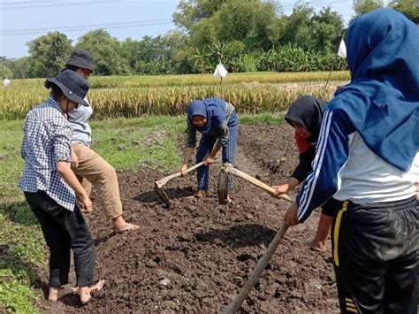 6 kampus di kabupaten tulungagung yang bagus