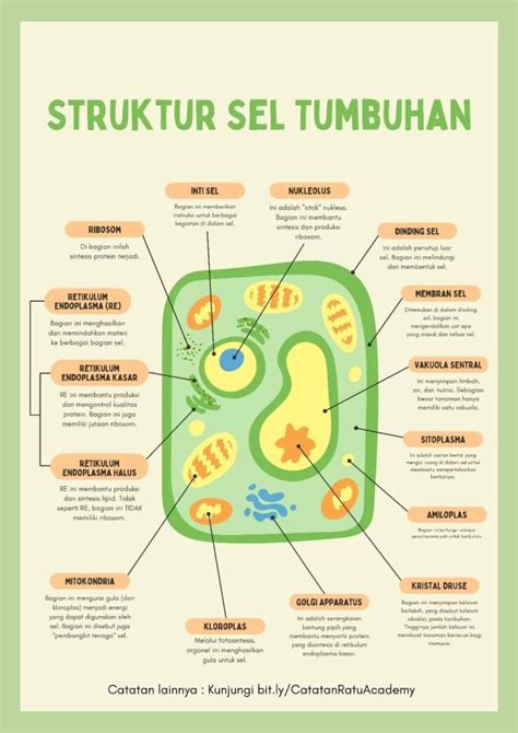 Cara main hula hoop untuk pemula