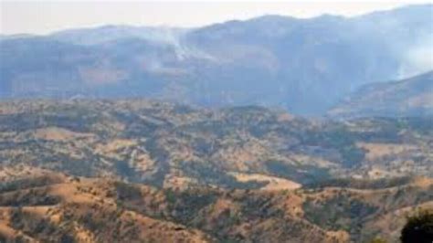 Bagok Halı ve Koltuk Yıkama