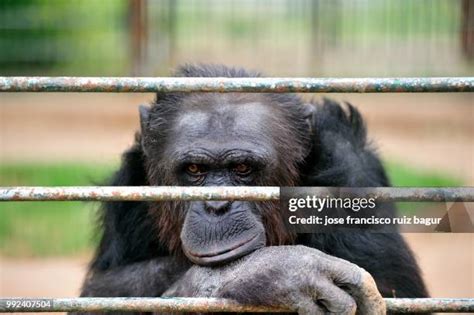 Bagur Halı ve Koltuk Yıkama