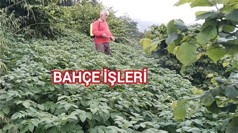 Bahçede YouTube.