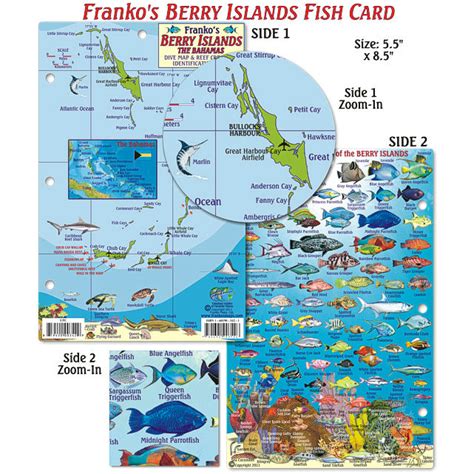 Bahamas map reef creatures guide franko maps laminated fish card. - Kyocera km 2530 km 3530 km 4030 service repair manual parts list.