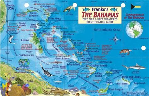 Read Online Bahamas Map  Reef Creatures Guide Franko Maps Laminated Fish Card By Not A Book
