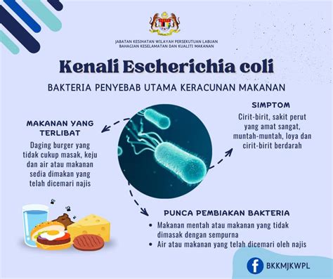Bahaya Coli keping 100t & puzzle simetri dengan posisi unik brutal guttural bikin merinding penggemar horor remake Indonesia keping game murah image 1