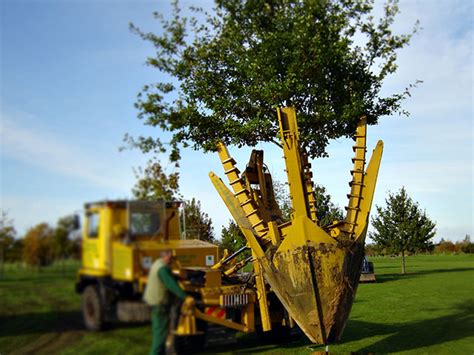 Pricing is keen: having all the equipment and professionals in-house certainly keeps the cost down." ... Nick Bailey Tree Services (Manchester) Registered Address: 1 Brook House, 61 Old Wool Lane, Cheadle SK8 2BB Registration No: 0449 5399. Registered in England Pages. Home;. 