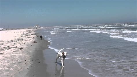 Baileybeach Onlyfans Leak [PPV] 116 Pics
