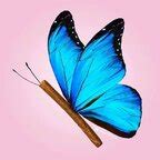 🍌 Baileyyyerin Leaks +18 181 Vids