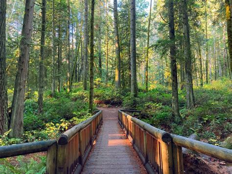 Bainbridge island attractions. Aug 23, 2023 ... Explore Bloedel Reserve: Wander through lush gardens, tranquil ponds, and serene woodlands in this botanical paradise. Go Sailing: While ... 