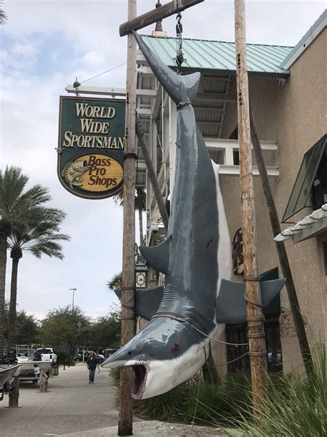 Bait shops in destin. Need a boat charter to help you find the best locations for king mackerel fishing in Destin, FL? Call our expert guides at Southern Country Charters at (850) 739-3175 to reserve your spot today! 