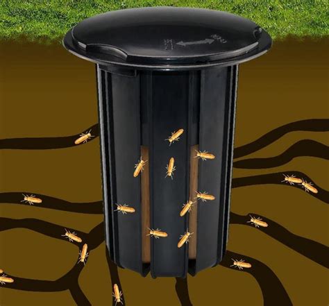 Bait station termite. The Advanced Termite Bait System is the next generation in termite baiting. The termite bait station features vertical slots that allow for maximum wood-to-soil ... 
