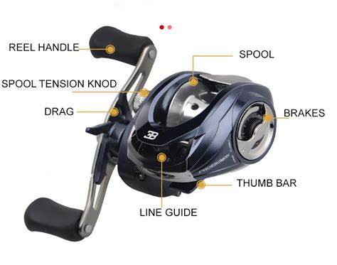 Parts of a Spinning Reel [Guide for Beginners]