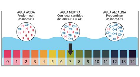 Bajar ph y dureza del agua del acuario - YouTube