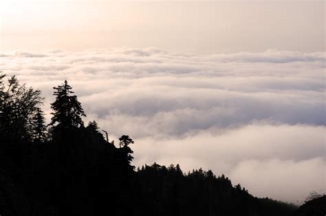 Bakacak Halı ve Koltuk Yıkama